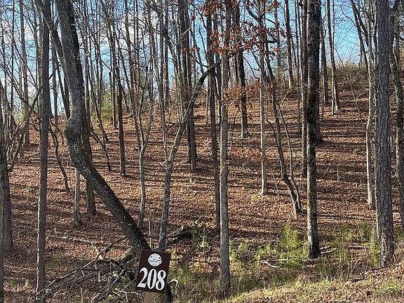 4th image of LOT 208 Pinnacle Dr