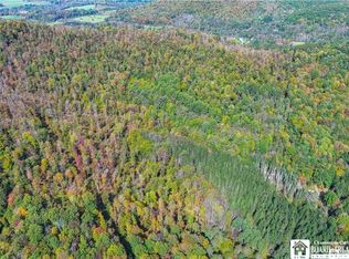 0 Willow Brook Rd #26, Little Genesee, NY 14754