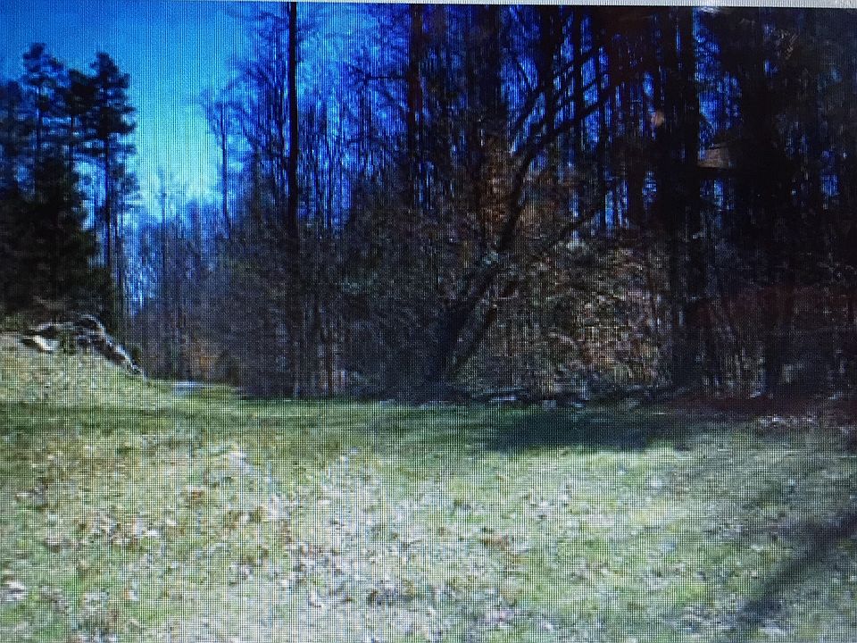 2nd image of 9233 Hollybush Ln