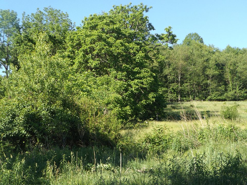 2nd image of 3 Heritage Dr