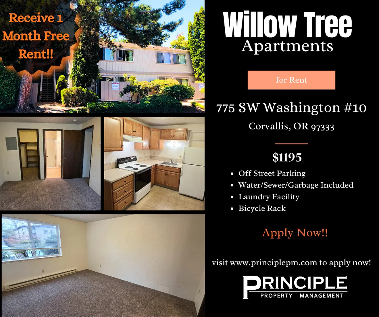 Willow Tree Apartments — Photo 1