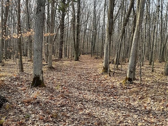 5th image of 0 Gardner Lake Road