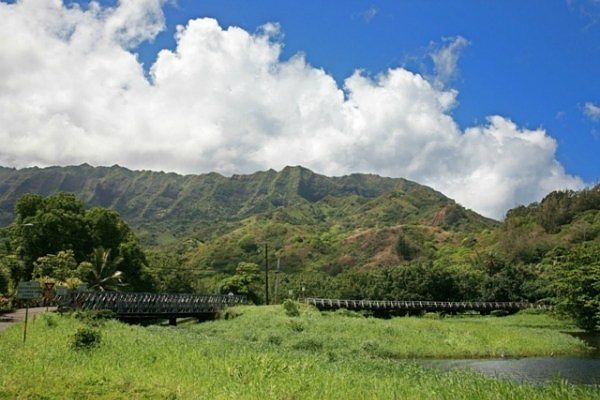 2nd image of 5-6684 Kuhio Hwy