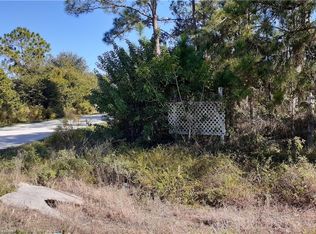 340 Fairview Ln, Lorida, FL 33857