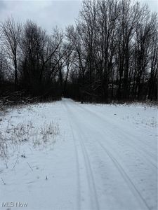 3047 Cannon Rd, Twinsburg, OH, 44087