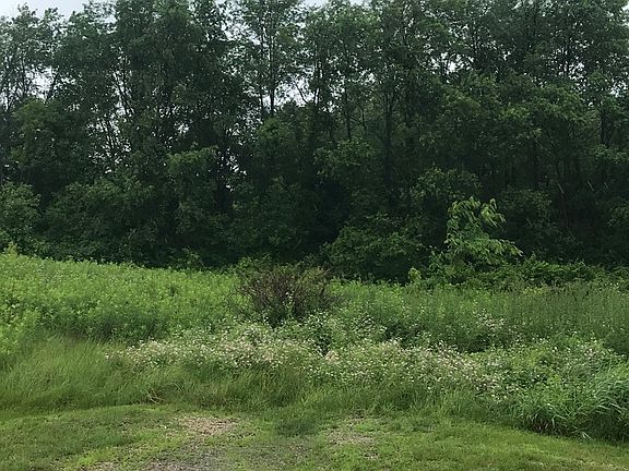 2nd image of 15213 Rose Ln