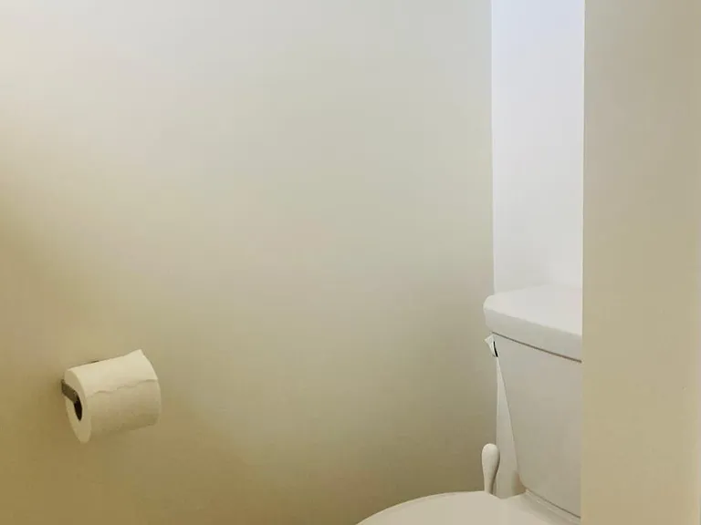 toilet with storage shelves above