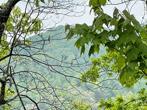 2 Big Buck Cv, Hayesville, NC 28904