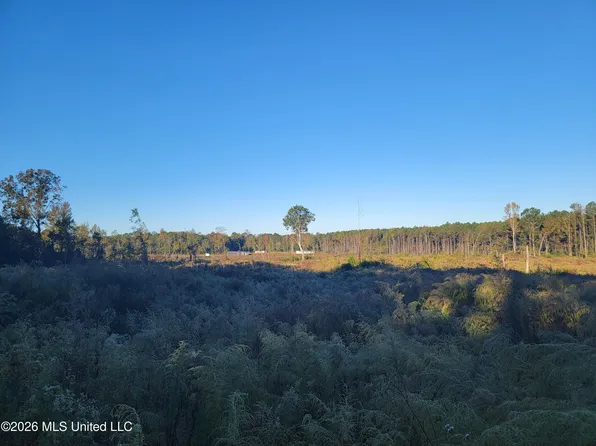 Haralson Ln, Forest, MS 39074