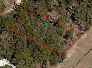 409 S Crestview Ave, Inverness, FL 34452