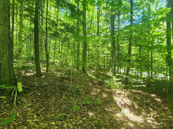 00 Hillcrest Road, Andover, VT 05143