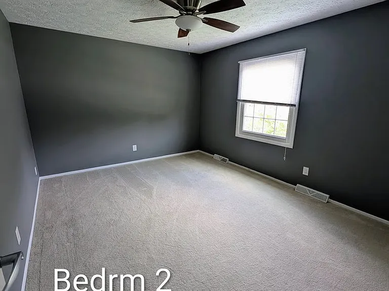 31195 Marvis Dr — Photo 11