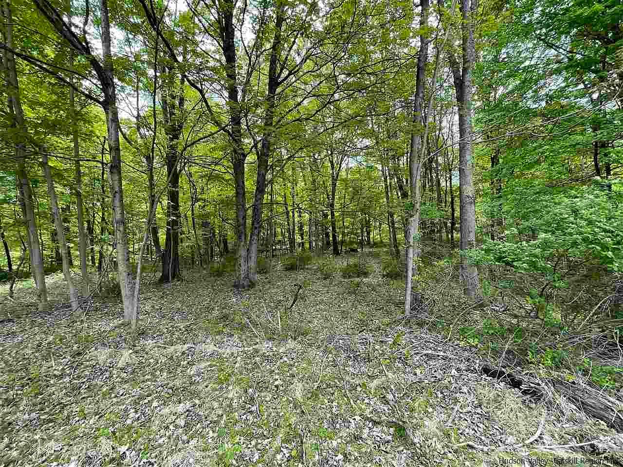 224 Union Center Rd, Ulster Park, NY 12487 Zillow