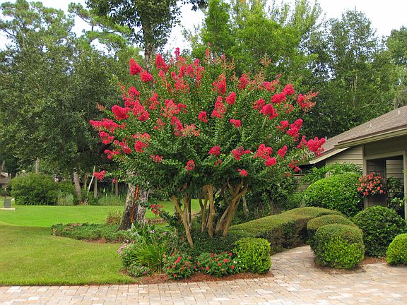 3rd image of 3008 Cypress Creek Dr E