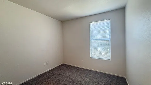 2404 Plaid Cactus Ct — Photo 19