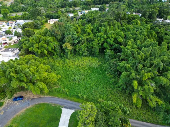Km 2 Int Montellano Ciprian Ortiz Ave, Cayey, PR 00736