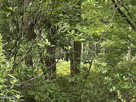 4th image of Owego Tpke