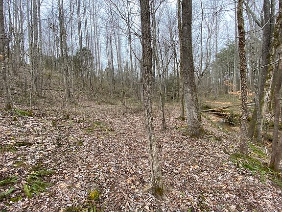 2nd image of 159 Joe Harris Ln