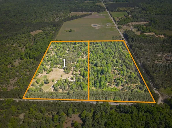 PARCEL 1 Makinen Rd, Kaleva, MI 49645