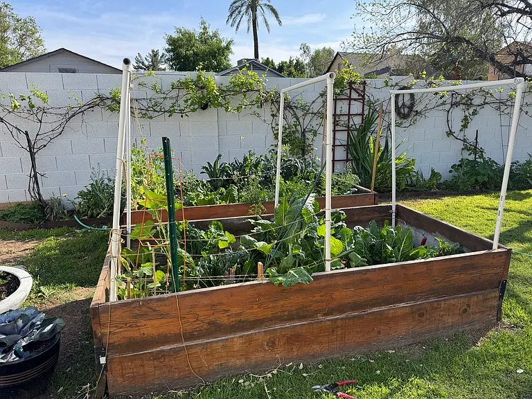 Garden beds