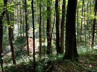 0 Barrell Rd LOT 2, Camden, NY 13316