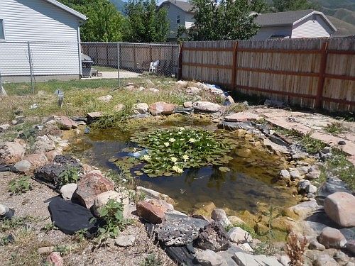 5th image of this home