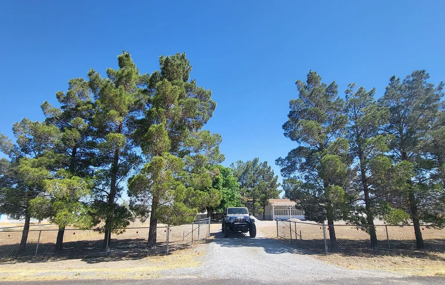 Charleston Park - Van Lane — Photo 2
