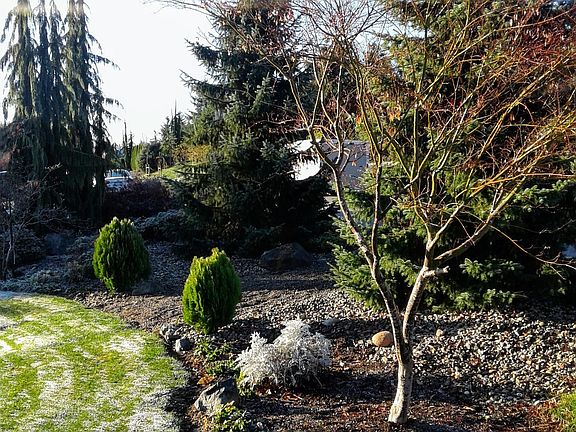 front yard