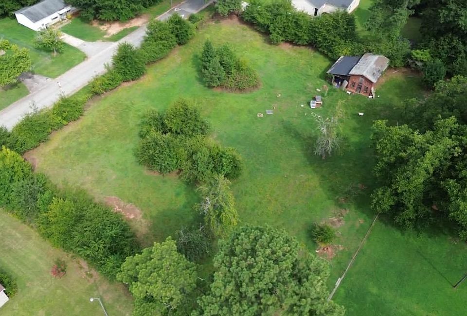 1st image of Camellia Cir