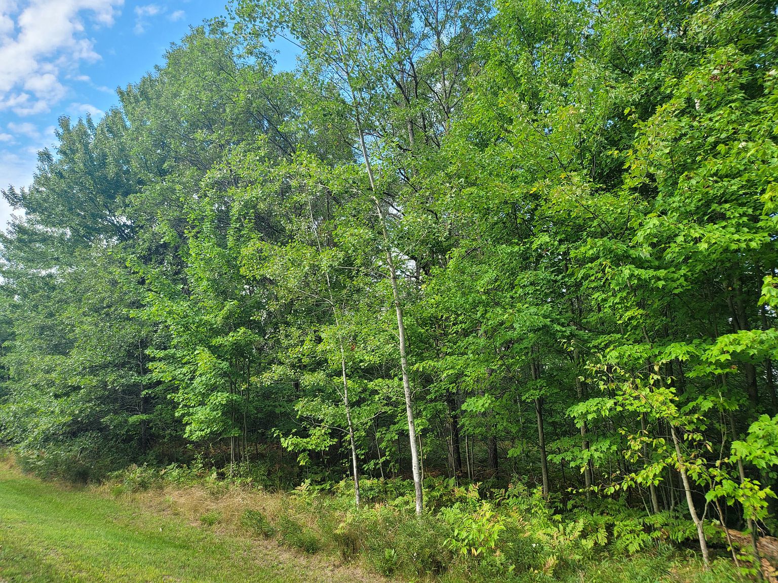 15 Fox Run Dr, Grayling, MI 49738 Zillow