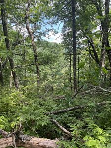 B Undala Road, Glenville, NC, 28736