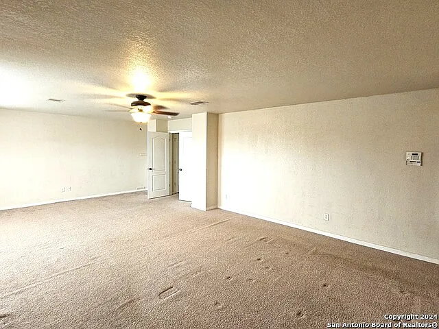 208 Springtree Cv — Photo 20