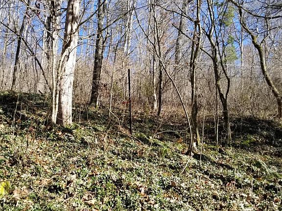 5th image of Minton Rd