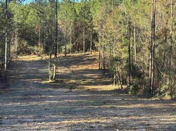 56 Straw Bridge Rd, Jay, FL 32565