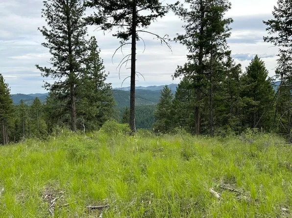 LOT-36XX Sheridan Rd #Q, Republic, WA 99166