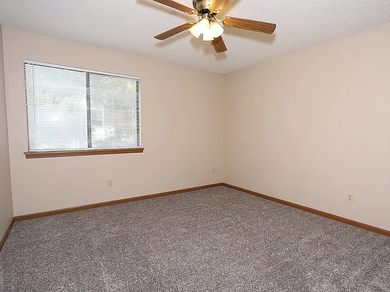Lots of Natural Light!