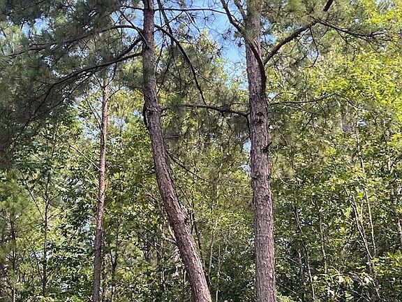 2nd image of 578 County Road 4688