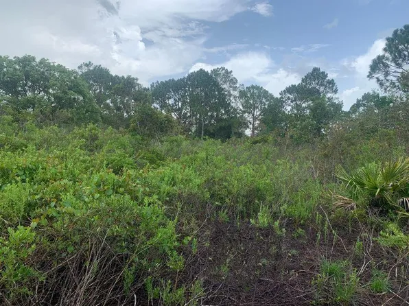 4105 Nogales Avenue, Sebring, FL 33872