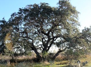 Private Road Lexi Ln, Poteet, TX 78065