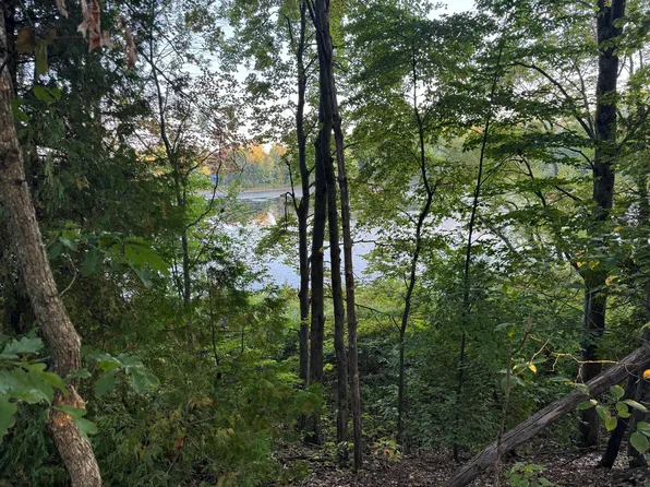 Vl W Timberline Dr, Rothbury, MI 49452