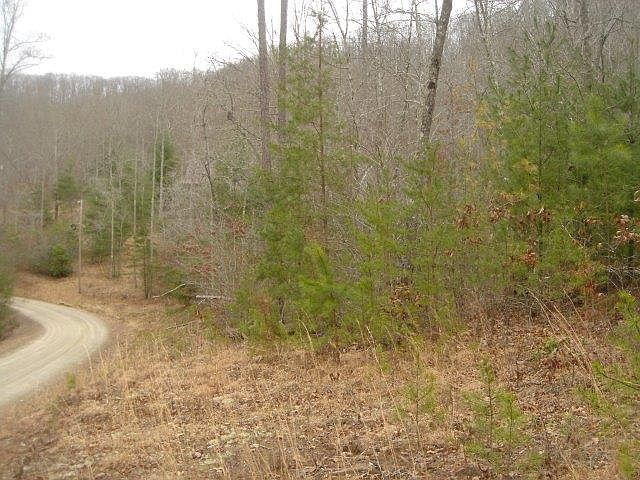 1st image of Lt 5 Birchwood Trails