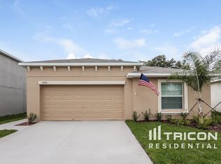 10234 Strawberry Tetra Dr, Riverview, FL 33578