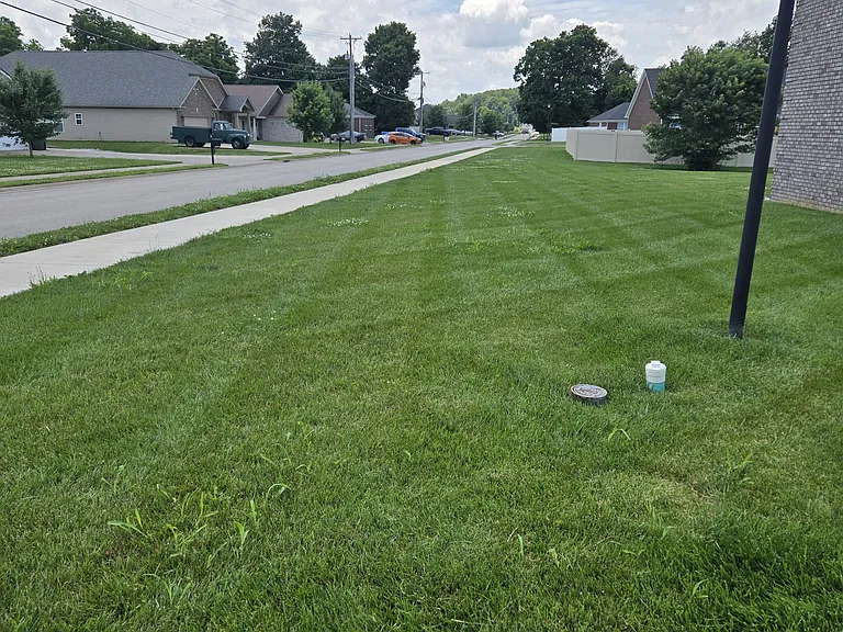 455 Cabernet Dr — Photo 5