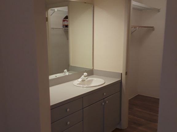 Master Vanity area
