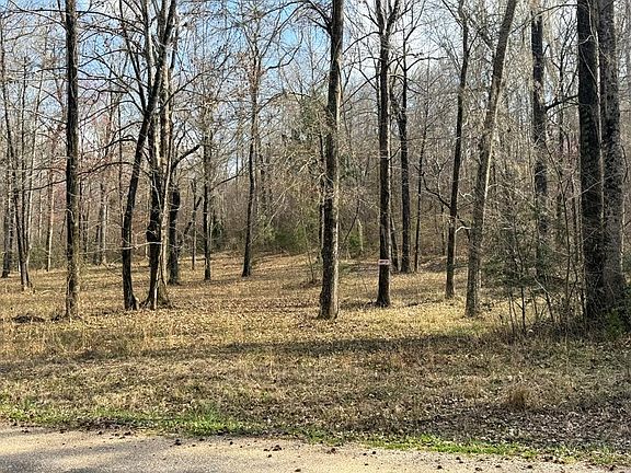 3rd image of 38 Shadow Creek Loop
