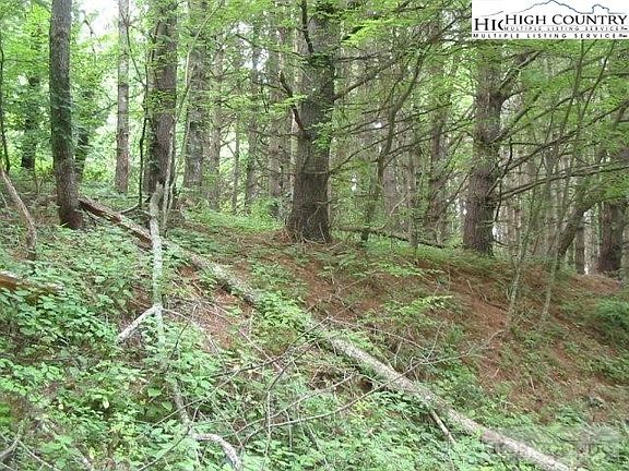 2nd image of TBD Chestnut Drive Lots 112 &113