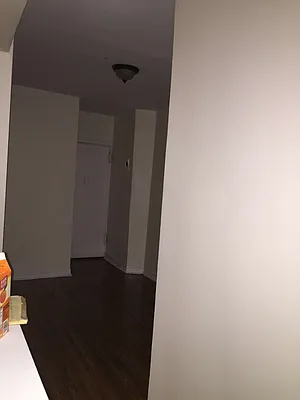 Rented by Padsters Realty LLC | media 14