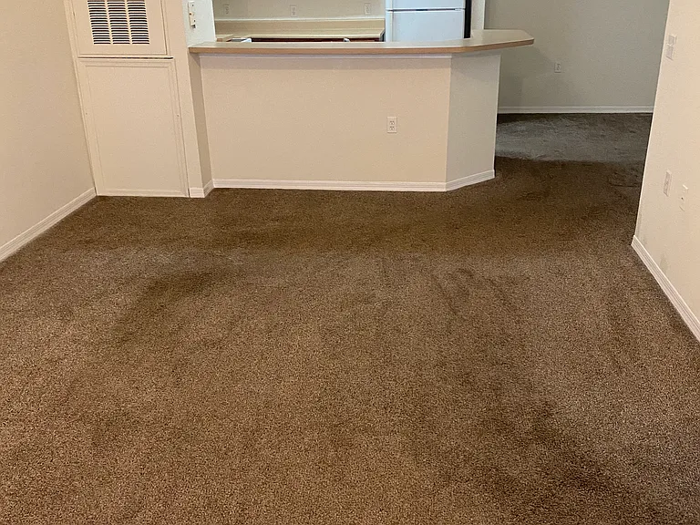 8225 Claire Ann Dr — Photo 8