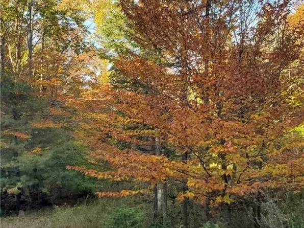 Steinfeldt Ln, Long Lake, NY 12847