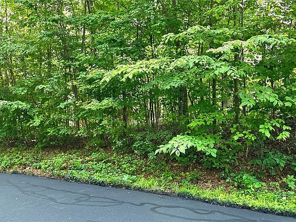 3rd image of 0 Rosie Gayle Drive NE